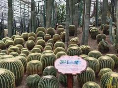 -南山植物园