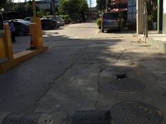 -金陵花卉交易市场