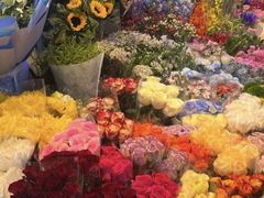 -花鸟鱼虫鲜花绿植市场(玉泉路店)