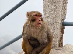 -崂山巨峰游览区