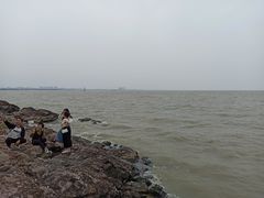 -巢湖姥山岛