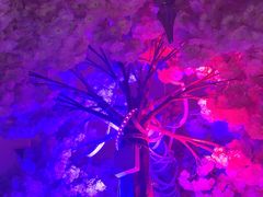 -巴特餐饮6加1音乐餐吧·新疆菜