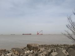 -上海滨江森林公园