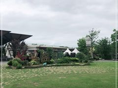 -上海长兴岛郊野公园