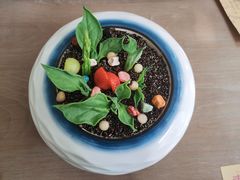 藜麦薯泥-素心小筑(后沙裕镇店)