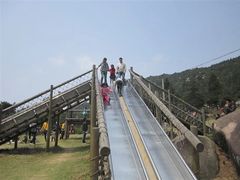 -玉苍山国家森林公园
