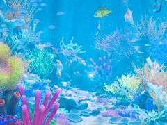 -沈阳海洋探索中心