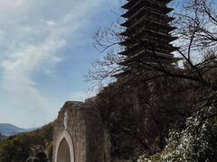 -牛首山文化旅游区