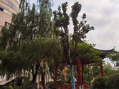 -复旦大学附属中山医院东院区-停车场