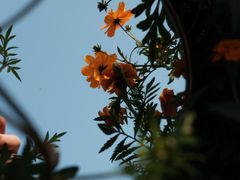 -映月湖中央公园
