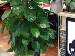 -周鱼小馆石锅酸菜鱼(活力汇店)