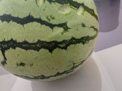 -红星农博物流中心