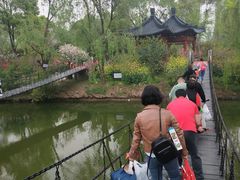 -南汇桃花村