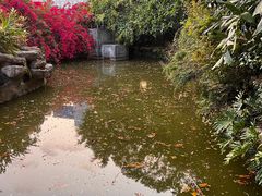 -人民公园(罗湖区)