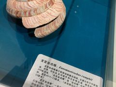 -青岛贝壳博物馆