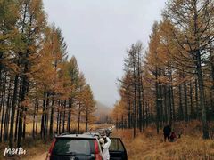 -塞罕坝国家级自然保护区