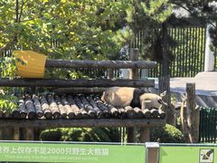 -大连森林动物园