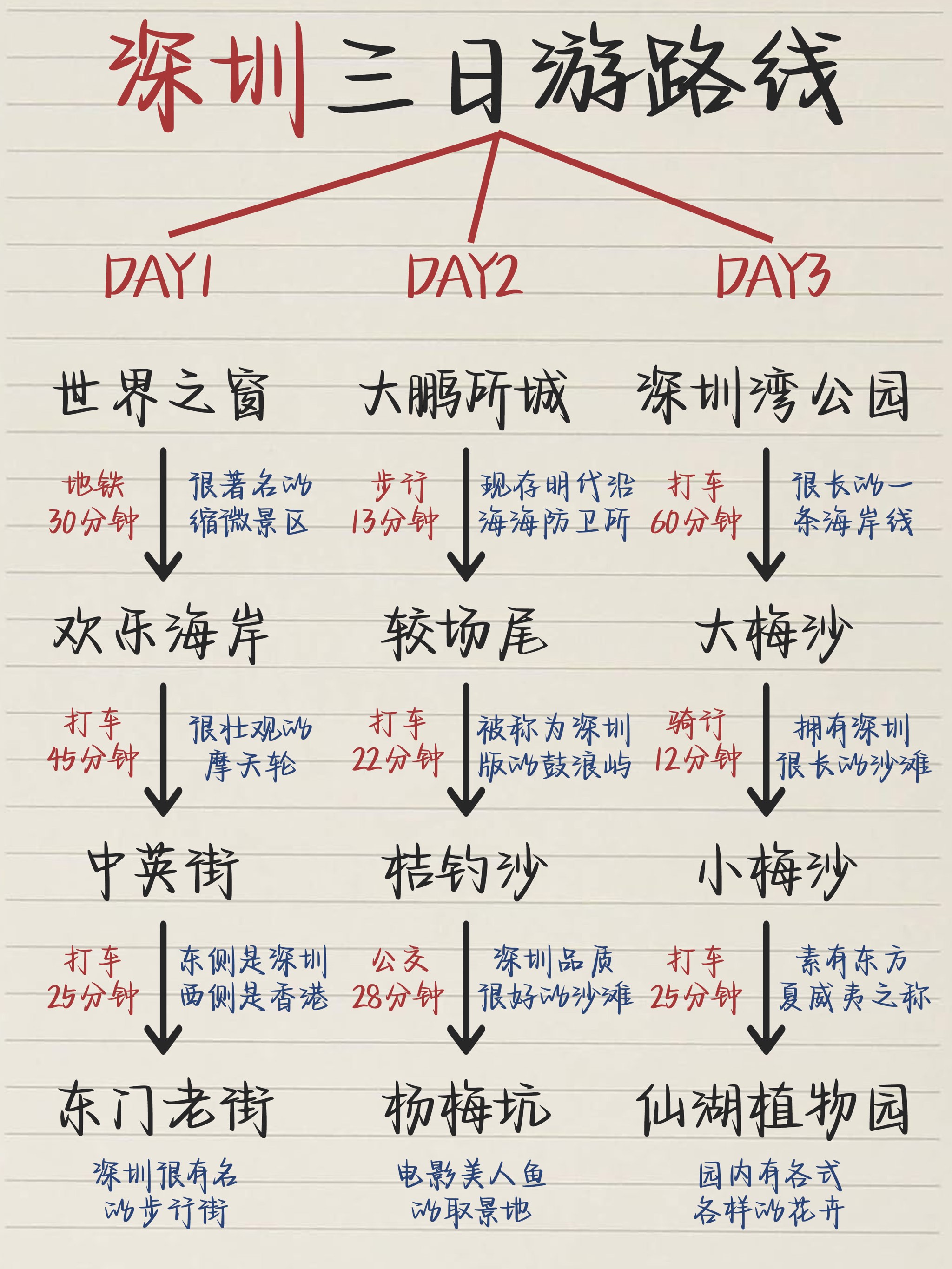 深圳旅游攻略带父母（深圳旅游攻略自由行攻略）《深圳带父母游玩》