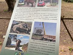 -野象谷景区