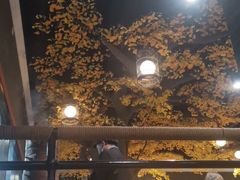 -松针蔡记蒸饺(花园路店)