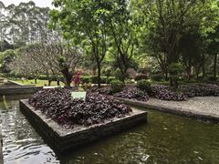 景观位-南宁荔园维景国际酒店·荔园中餐厅