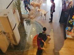 -百好乐宠物友好餐厅(朝外大街店)