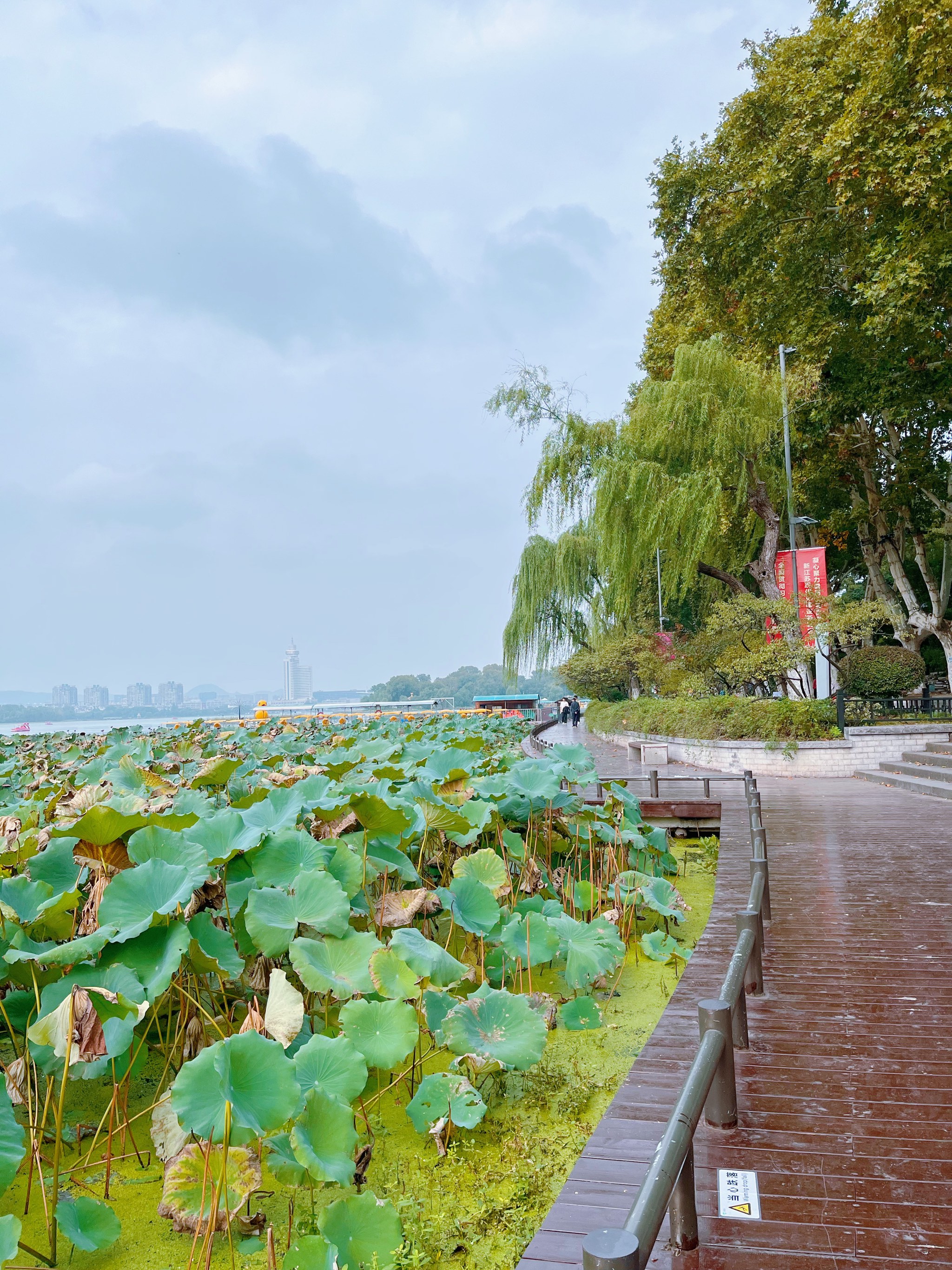 南京玄武湖附近景点图片