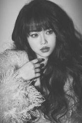 -WAVE SODA摄影工作室