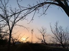 -意大利农场度假村