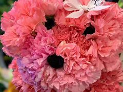 -花里花店(唐镇阳光天地店)