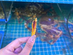 -震海贝烤贝·民俗特色店(延吉总店)