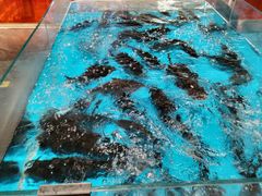 -艳阳天·非遗楚菜(武汉客厅店)