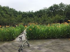 -重庆彩云湖湿地公园