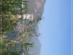 -清溪森林公园