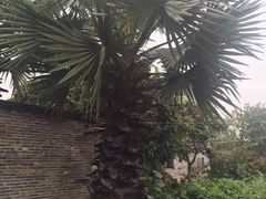 -扬美古镇景区