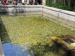 -竹泉村旅游度假区