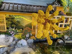 -杭州植物园