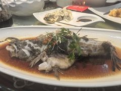 葱香大白鱼-聚宝渔港.五钻酒家(上地店)