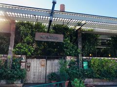 -The Grounds of Alexandria