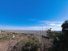 -北京西山国家森林公园