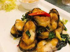 金不换煎焗白鳝-博多新记·粤菜(复兴店)