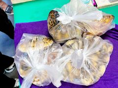 -老郑海鲜楼(天桥店)