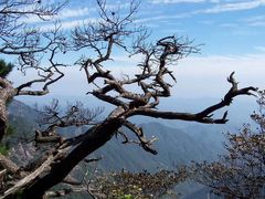 -祁门牯牛降观音堂风景区