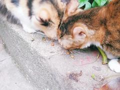 -近代中国十八先贤铜像广场(广州校区)