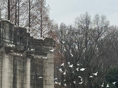 -音乐台