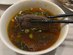 -有马汤泉(长沙店)