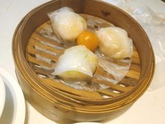 -点都德·毕德寮