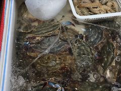 -奥士凯物美(新兴里店)