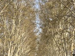 -河南省黄河迎宾馆