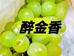 -马陆小张葡萄园农家乐